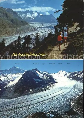 Gletscher Aletschgletscher Jungfrau Moench Kat. Berge