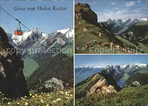 Seilbahn Bruelisau-Hoher Kasten Kuehe / Bahnen /