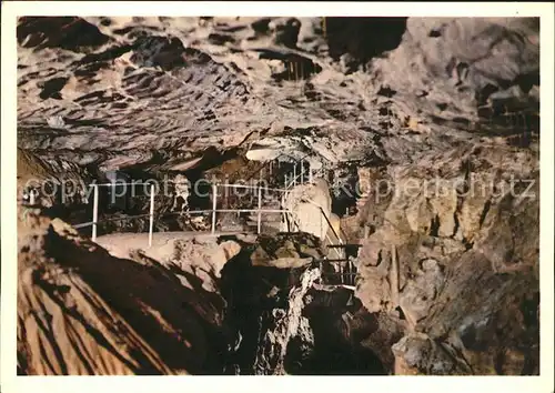 Hoehlen Caves Grottes St. Beatushoehlen Schlangengrotte Kat. Berge