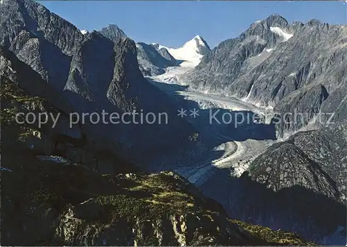 Gletscher Fieschergletscher Finsteraar Rothorn Wasenhorn  Kat. Berge