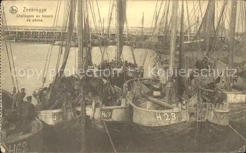 Segelboote Schaluppe Fischkutter Zeebrugge Chaloupes de peche Kat. Schiffe