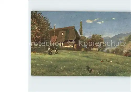 Hoffmann Heinrich Schwarzwaldhaus auf der Hoehe Nr. 175 Kat. Kuenstlerkarte