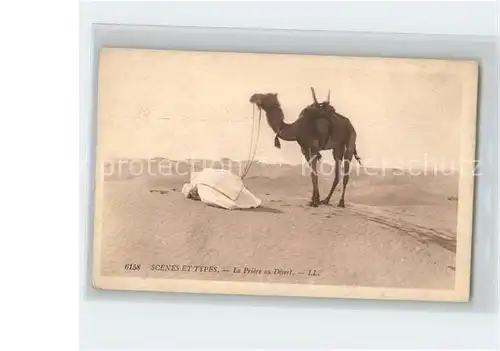 Kamele Typen Priere au Desert Scenes et Types Kat. Tiere