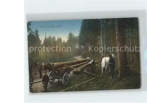 Forstwirtschaft Harz Baumtransport  Kat. Berufe