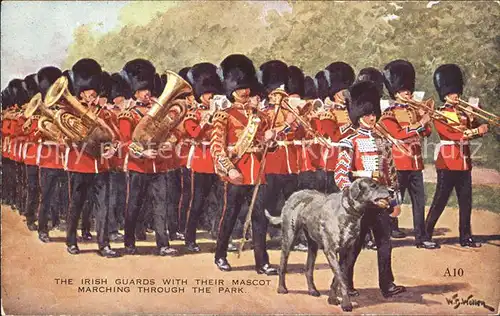 Leibgarde Wache Irish Guards Mascot Marching W. B. Wollen Hund  Kat. Polizei