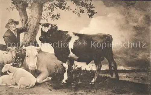 Stiere Kuenstlerkarte Paulus Potter Der junge Stier Ziege Lamm  Kat. Tiere