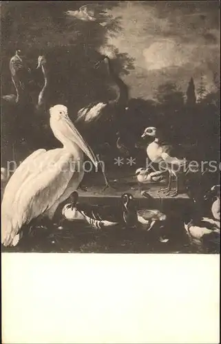 Kuenstlerkarte Melchior d Hondecoeter Het drijvend veertje Enten und Stelzvoegel Kat. Kuenstlerkarte