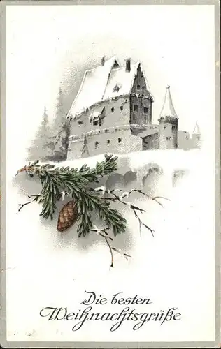 Tannenzapfen Weihnachten Litho Kat. Pflanzen