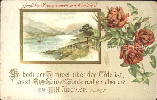 Rosen Neujahr Psalm  Kat. Pflanzen