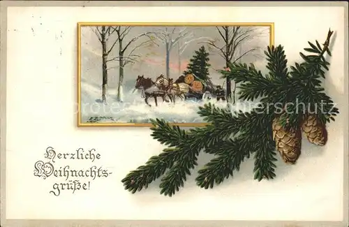 Tannenzapfen Weihnachten Pferde Litho Kat. Pflanzen