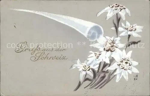 Edelweiss Gruss aus der Schweiz  Kat. Pflanzen