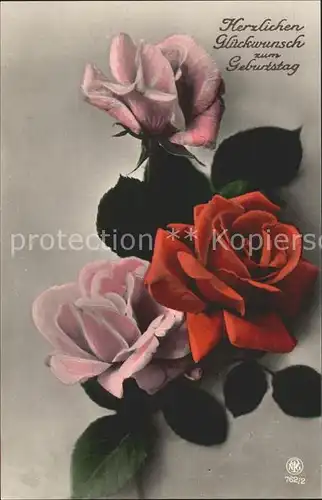 Rosen Glueckwunsch Geburtstag Verlag NPG Nr. 762 2 Kat. Pflanzen