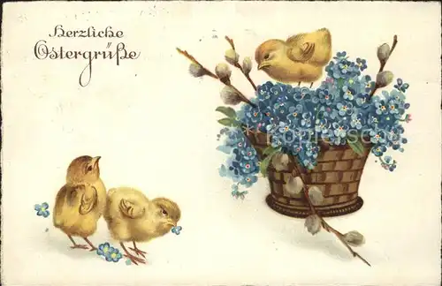 Ostern Easter Paques Kueken Vergissmeinnicht Korb Weidenkaetzchen Litho / Greetings /