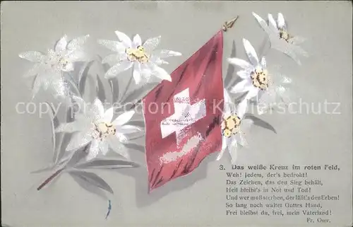 Edelweiss Fahne Schweiz Das weisse Kreuz im roten Feld Fr. Oser Nr. 3 Kat. Pflanzen