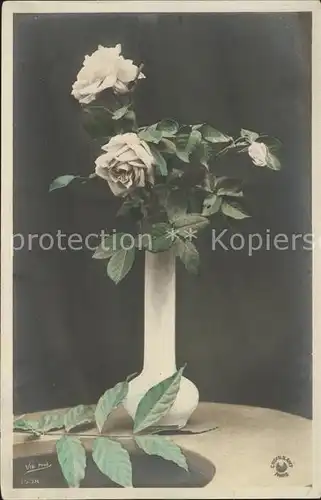 Rosen Vase Foto Vie Nr. 3538 Kat. Pflanzen