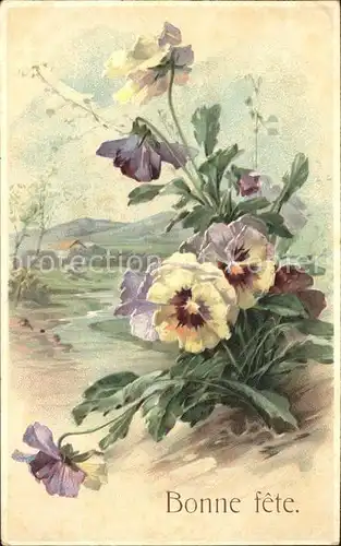 Blumen Stiefmuetterchen Litho Kat. Pflanzen