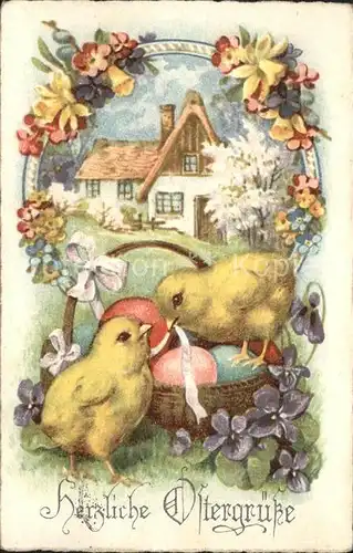 Ostern Easter Paques Kueken Ostereier Veilchen Narzissen  / Greetings /