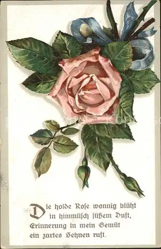 Rosen Gedicht Litho Kat. Pflanzen