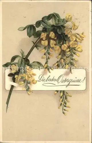 Ostern Easter Paques Schluesselblumen Litho / Greetings /