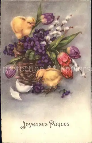 Ostern Easter Paques Kueken Veilchen Weidenkaetzchen Tulpen  / Greetings /