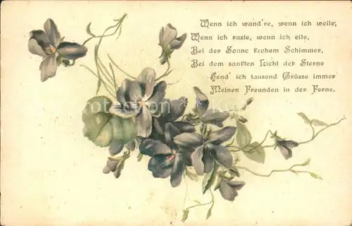 Blumen Veilchen Gedicht Litho  Kat. Pflanzen