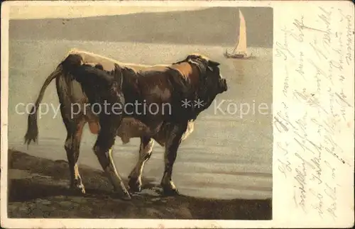 Koller Rudolf Schwarzfleck Stier Toro maculato  Kat. Kuenstlerkarte