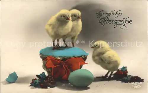 Ostern Easter Paques Kueken Osterei Blumen / Greetings /