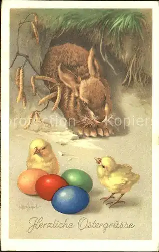 Hasen Kueken Ostereier Ostern Verlag Amag Nr. 429 Kat. Tiere