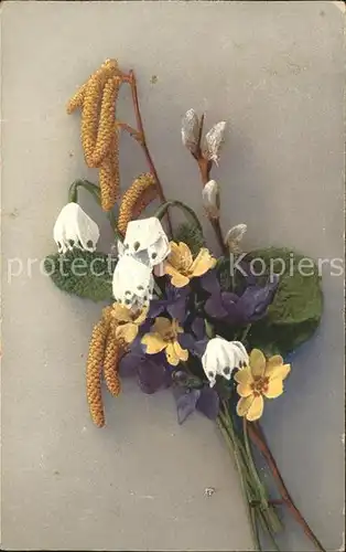 Blumen Maerzenbecher Veilchen Schluesselblumen Weidenkaetzchen  Kat. Pflanzen