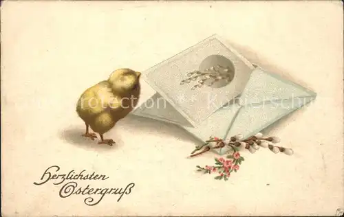 Ostern Easter Paques Kueken Brief Weidenkaetzchen Litho / Greetings /