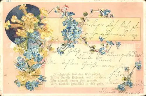 Blumen Schluesselblumen Vergissmeinnicht  Gedicht Litho Kat. Pflanzen