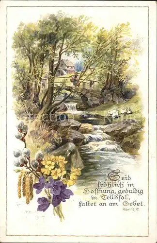 Wassermuehle Bruecke Weidenkaetzchen Veilchen Schluesselblumen Litho Kat. Gebaeude und Architektur