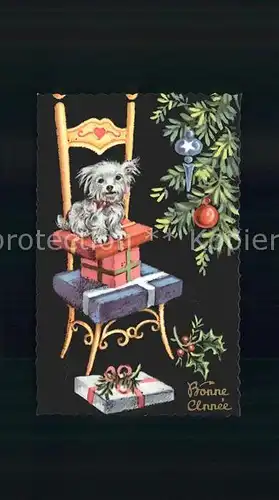 Hunde White Terrier Neujahr Geschenke Stuhl  Kat. Tiere