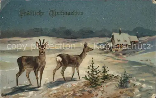 Weihnachten Reh Hirsch Verlag EAS Kat. Greetings