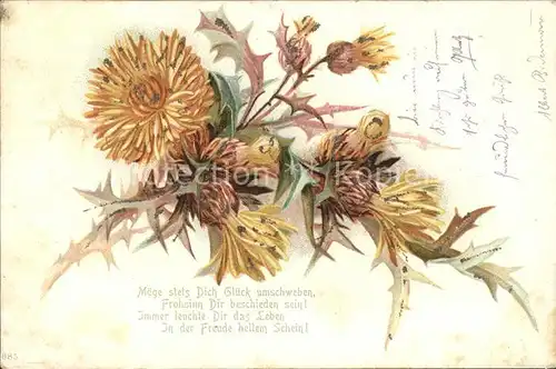 Blumen Loewenzahn Gedicht Litho Kat. Pflanzen