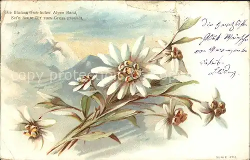 Edelweiss Litho Gedicht Spruch  Kat. Pflanzen