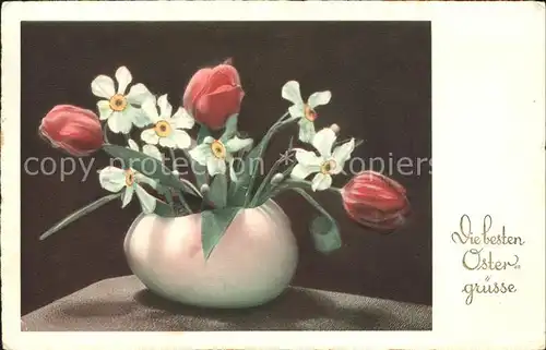 Ostern Easter Paques Tulpen Dichter-Narzissen Vase  / Greetings /