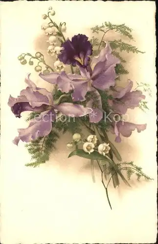 Maigloeckchen Iris Schwertlilien Litho  Kat. Pflanzen