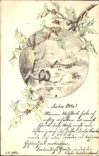 Weihnachten Stechpalmen Voegel  Kat. Greetings