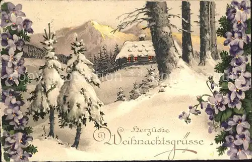 Weihnachten Veilchen Wald Schnee Litho Kat. Greetings