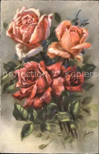 Rosen Verlag Begro Pastell Nr. 9047 Kat. Pflanzen