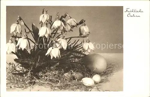 Ostern Easter Paques Maerzenbecher Eier  / Greetings /