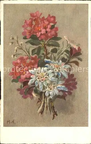 Edelweiss Alpenrosen  Kuenstler M. K. Nr. 588 Kat. Pflanzen