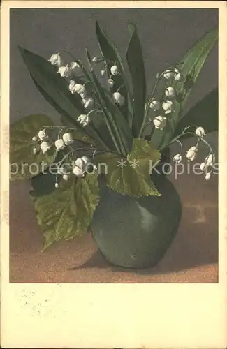 Maigloeckchen Vase Convalaria majalis  Kat. Pflanzen