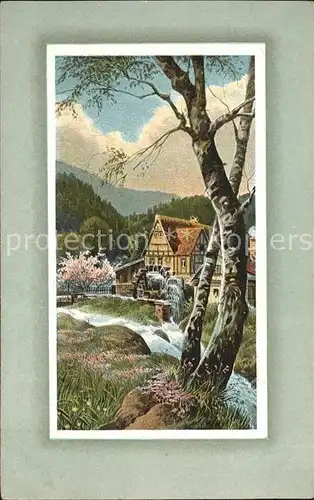 Wassermuehle Fluss Baeume Natur  Kat. Gebaeude und Architektur