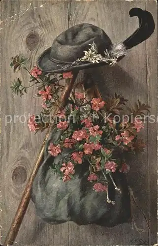 Billing M. Wanderhut Wanderstock Edelweiss Alpenrosen  Kat. Kuenstlerkarte