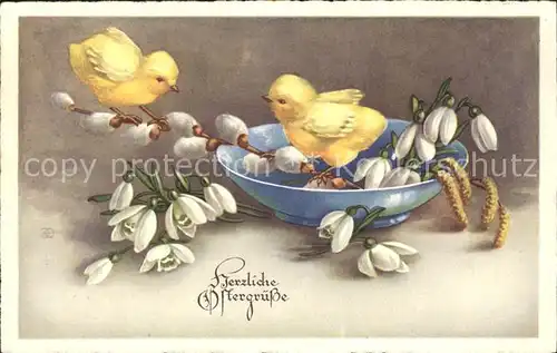 Ostern Easter Paques Kueken Schneegloeckchen Weidenkaetzchen  / Greetings /