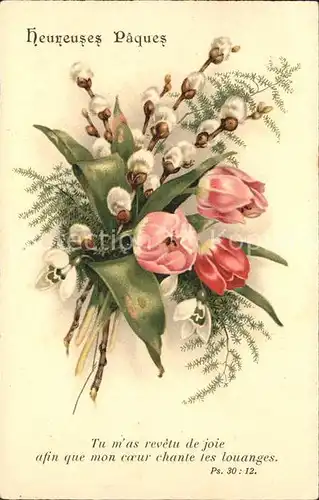 Ostern Easter Paques Tulpen Weidenkaetzchen Schneegloeckchen Litho / Greetings /