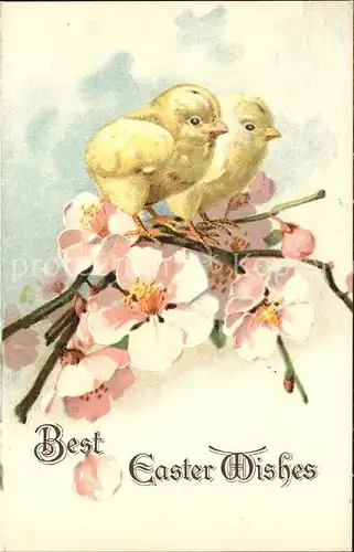 Ostern Easter Paques Kueken Blumen Blueten Litho / Greetings /