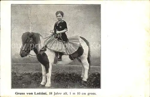 Kuriosum Lottini Liliput Pony  / Unterhaltung /